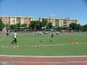 DSCF6110.JPG