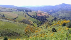 3 Paisaje desde el camino de subida a O Cebreiro