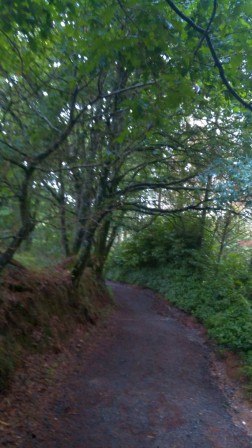 FOTO 4 - Bosque de "Fangorn" en Ponte Campana